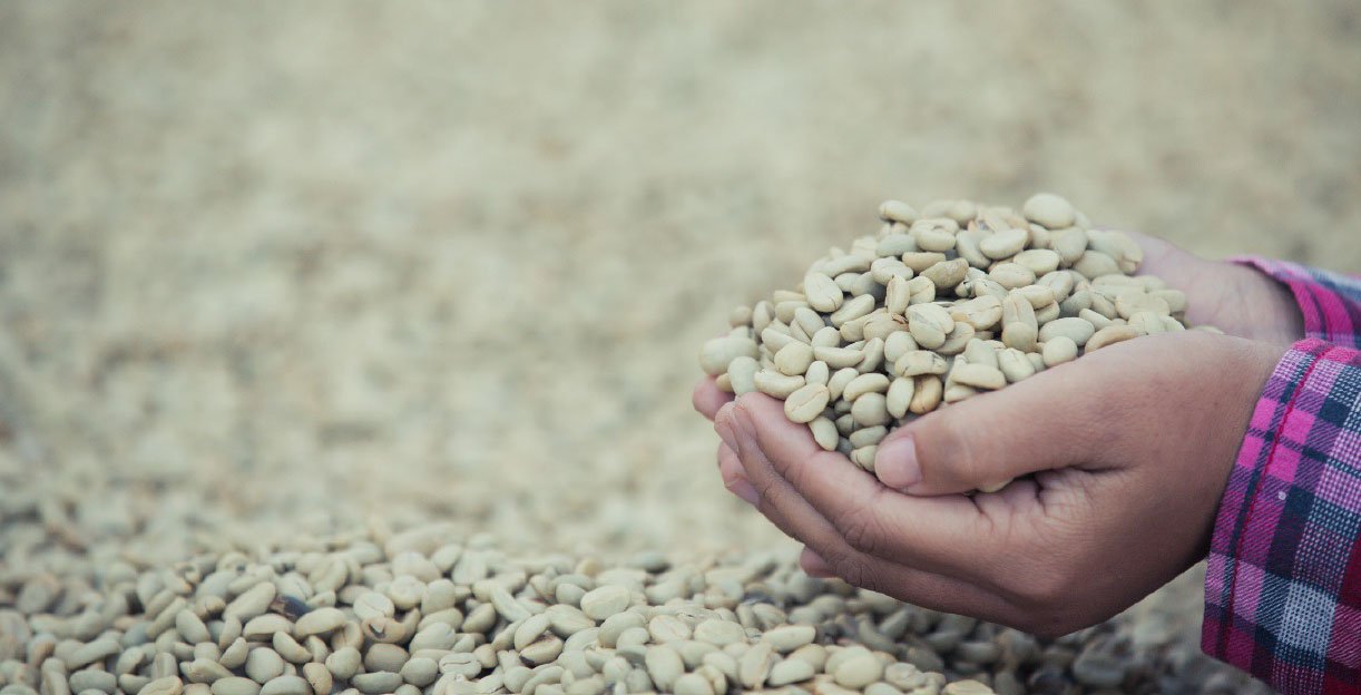 Grade 1 Standard: The Story of Physical Purity